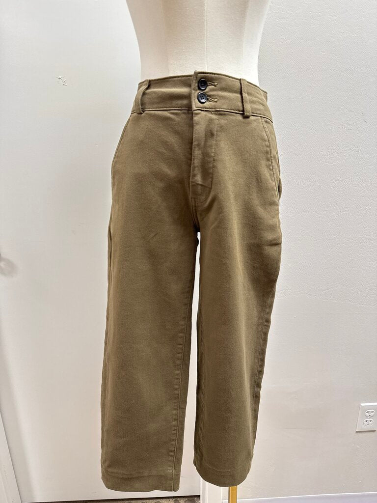 Everlane Olive Chino