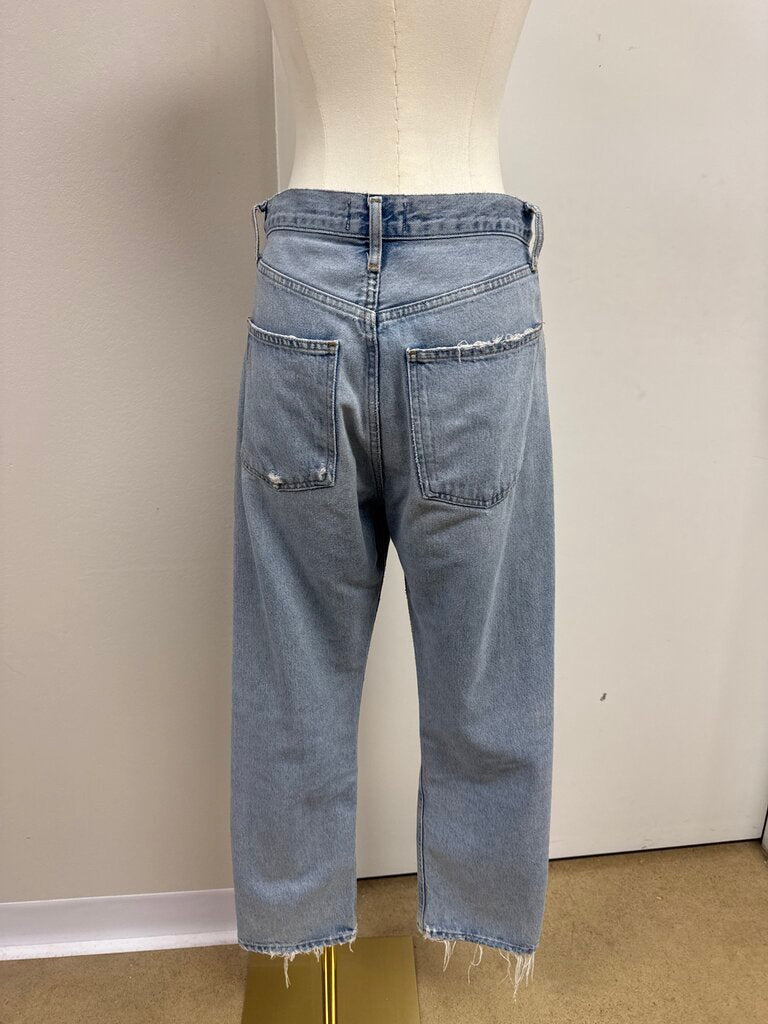 AGOLDE Straight Leg Wide Jean