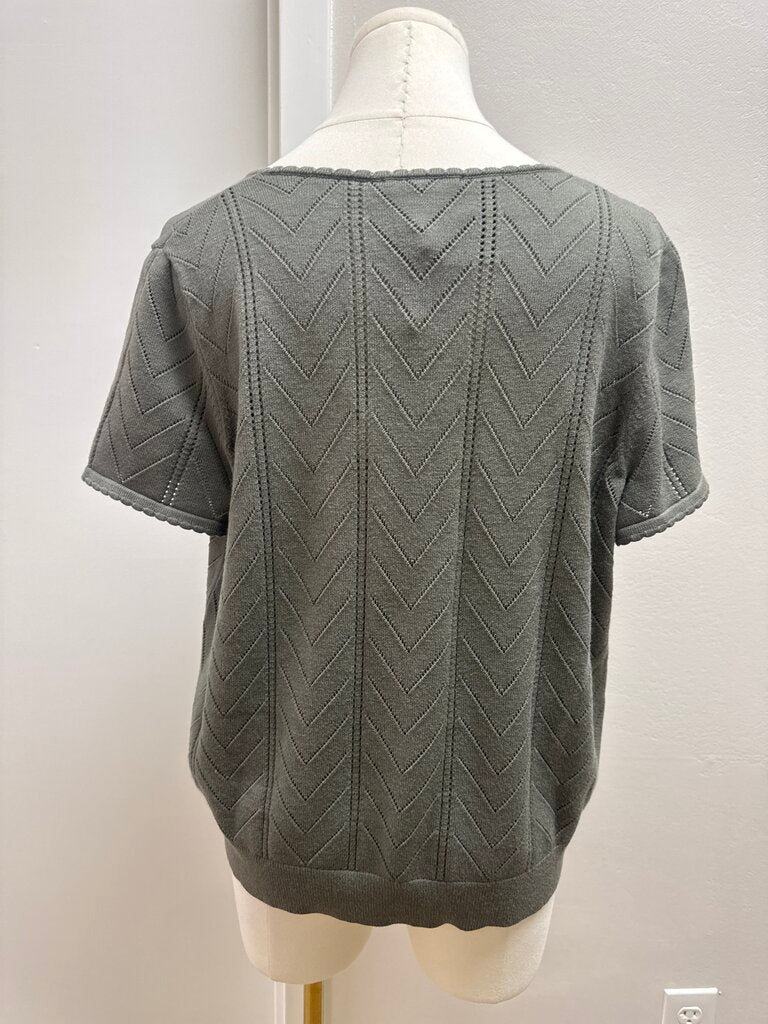 Splendid Chevron Short Sleeve Sweater NWT