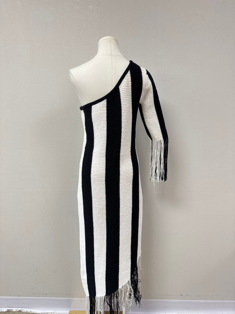 BCBG Black and White One Shoulder Fringe Dress NWT