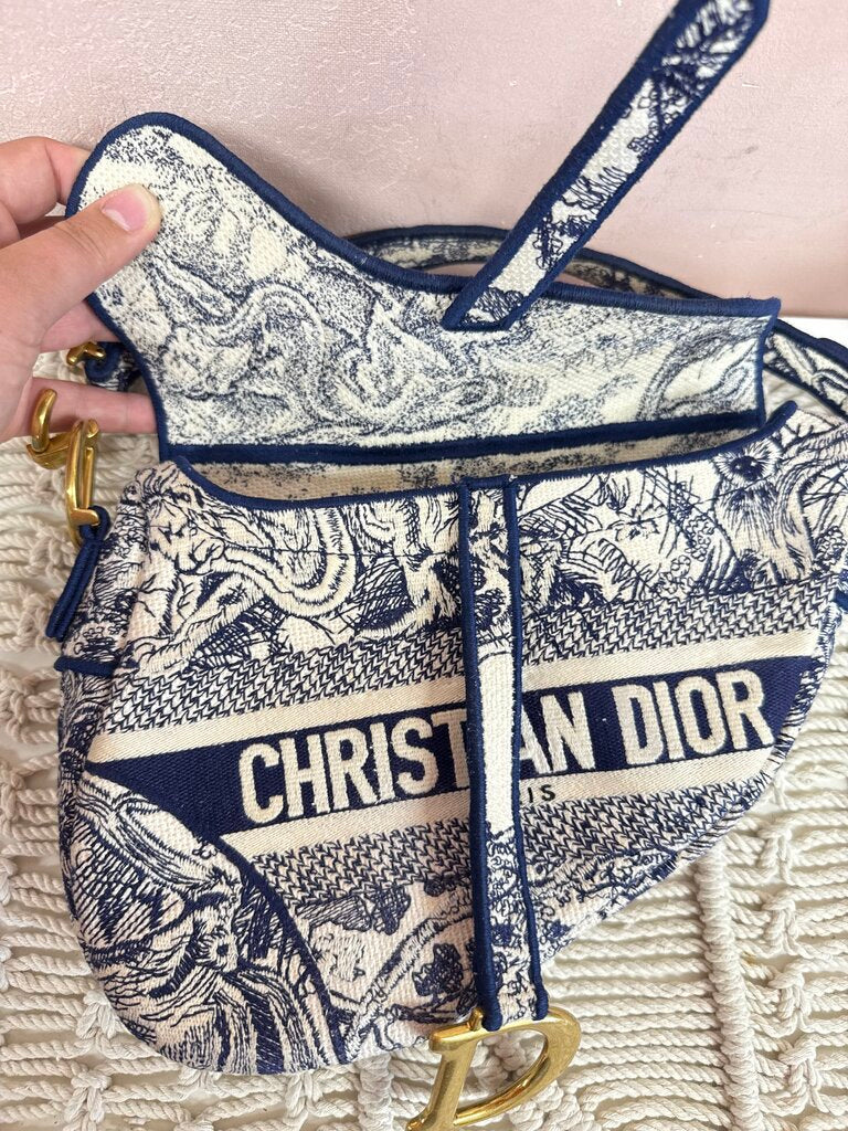 Dior Embroidered Saddle Toile De Jouy Medium Shoudler Bag