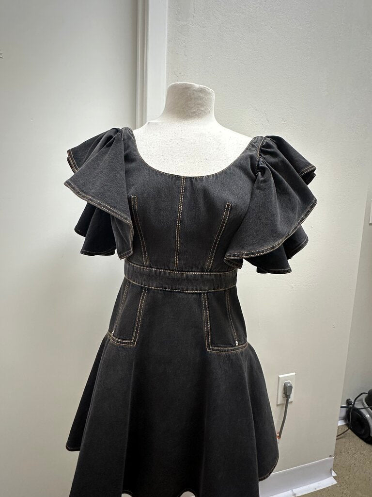 Alexander McQueem Denim Ruffle Dress