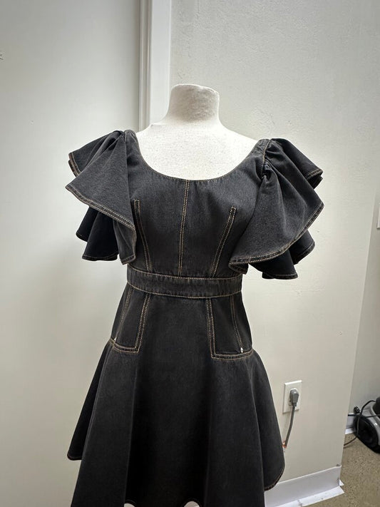 Alexander McQueem Denim Ruffle Dress