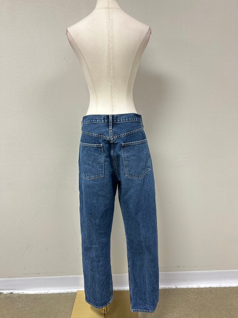 Agolde Wide Leg Jean