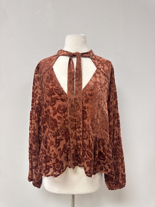 Anthropologie Cinnamon Floral Velvet Top