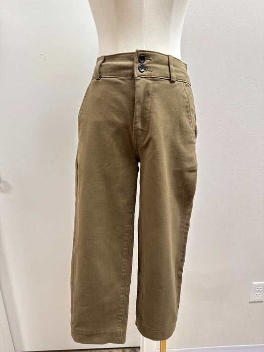 Everlane Olive Chino
