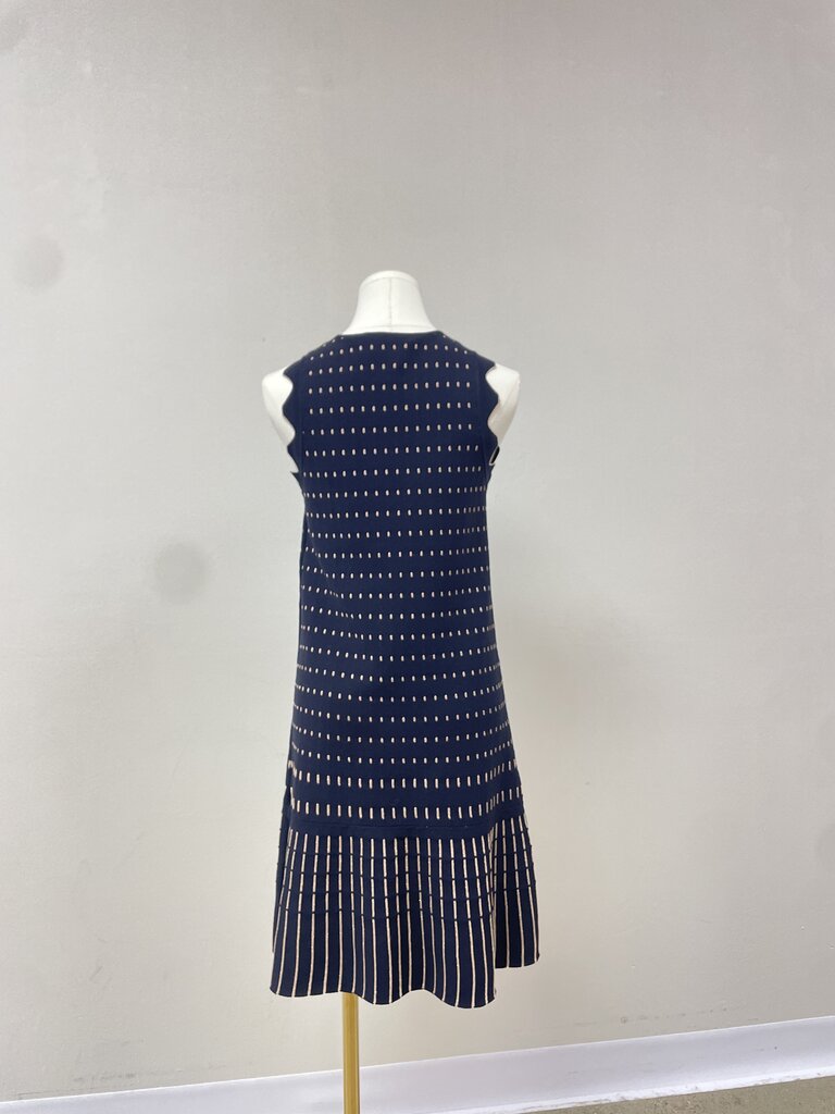 Ted Baker Ribbed Polka Dot Sleeveless Dress