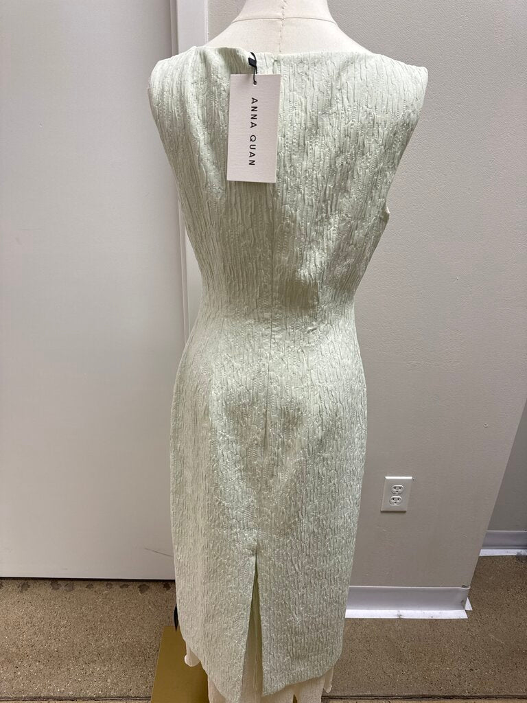 Anna Quan Pistachio Sheath Dress NWT