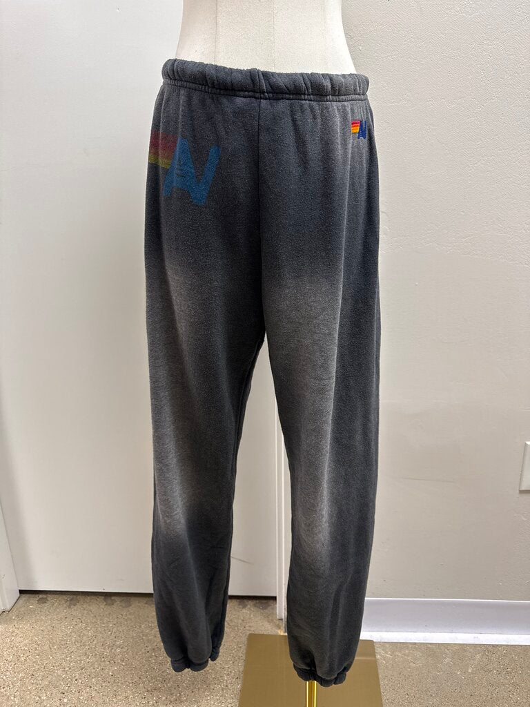 Aviator Nation Grey Sweatpant