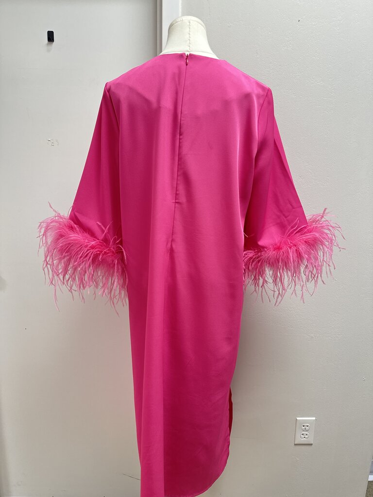 Tuckernuck Pink and Feather Dress