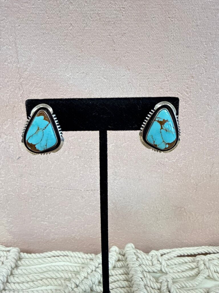 Will Dentedale Silver and Turquoise Earrings