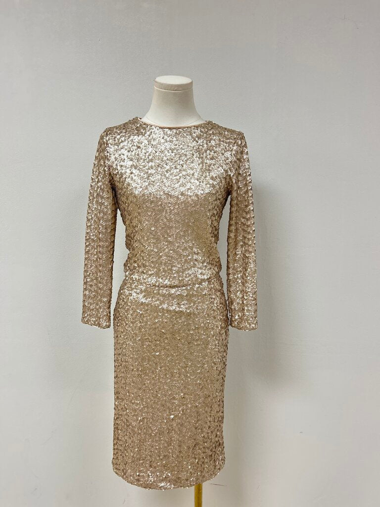 alice + olivia Champagne Sequin Skirt Set