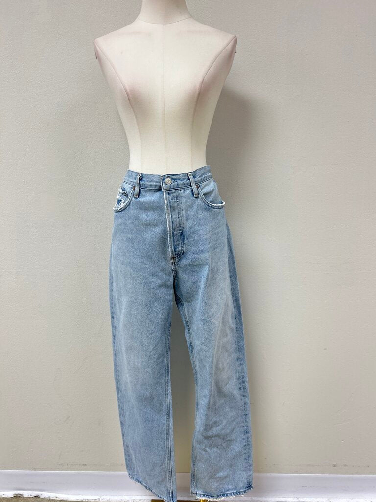 Agolde Wide Leg Jean