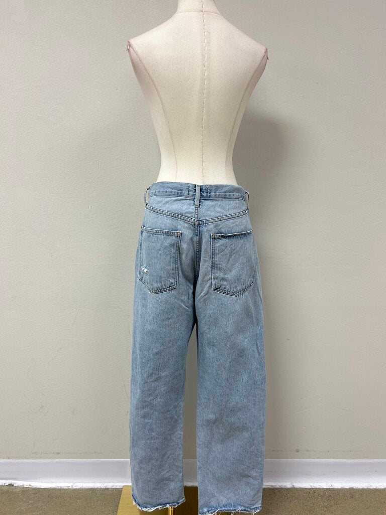 Agolde Wide Leg Jean