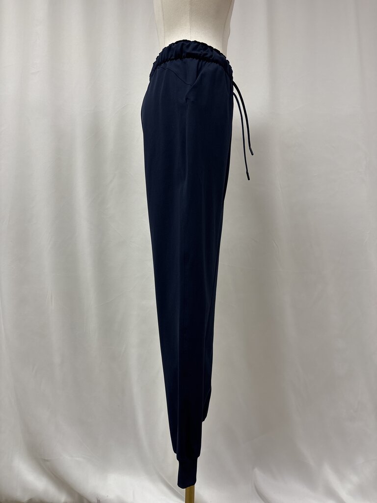 Lululemon Blue Jogger