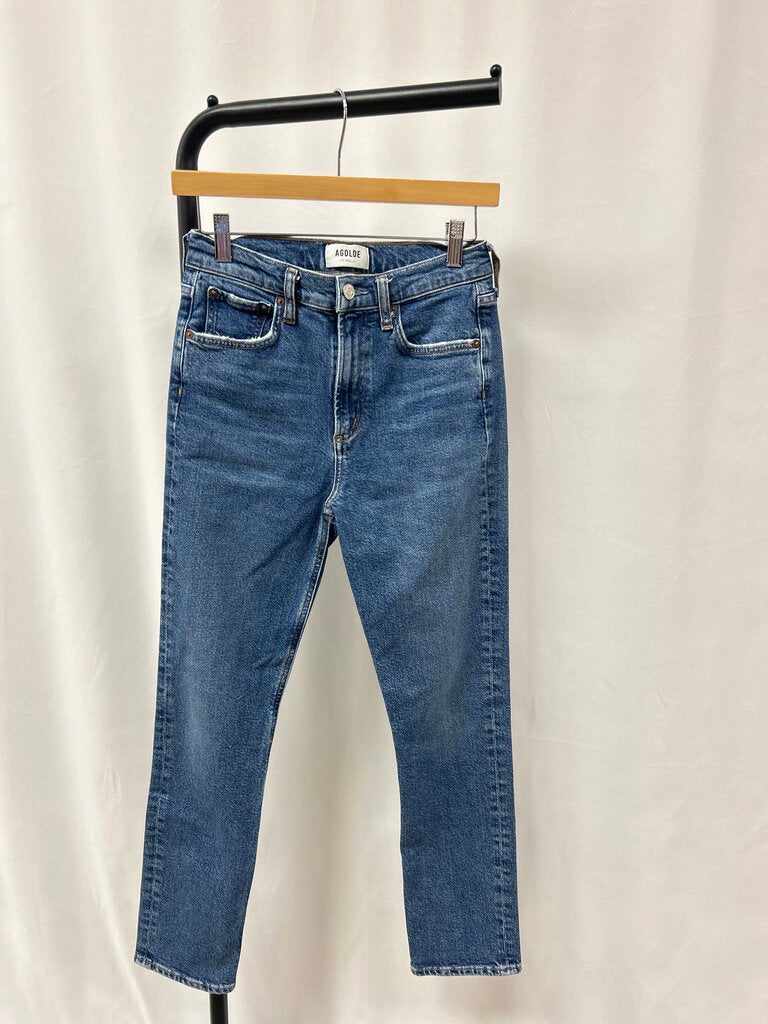 Agolde Dark Wash Skinny Jean