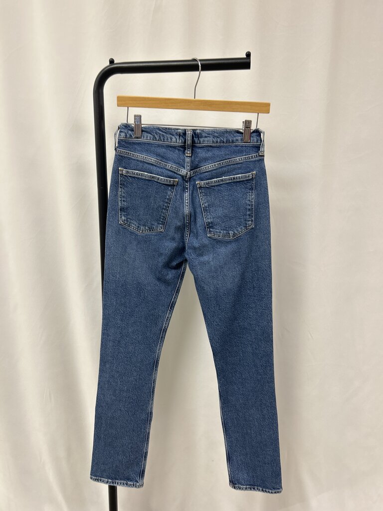 Agolde Dark Wash Skinny Jean