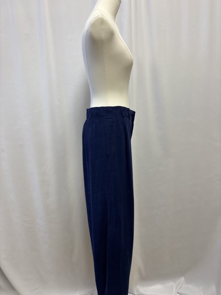 Z Supply Navy Pleated Pant