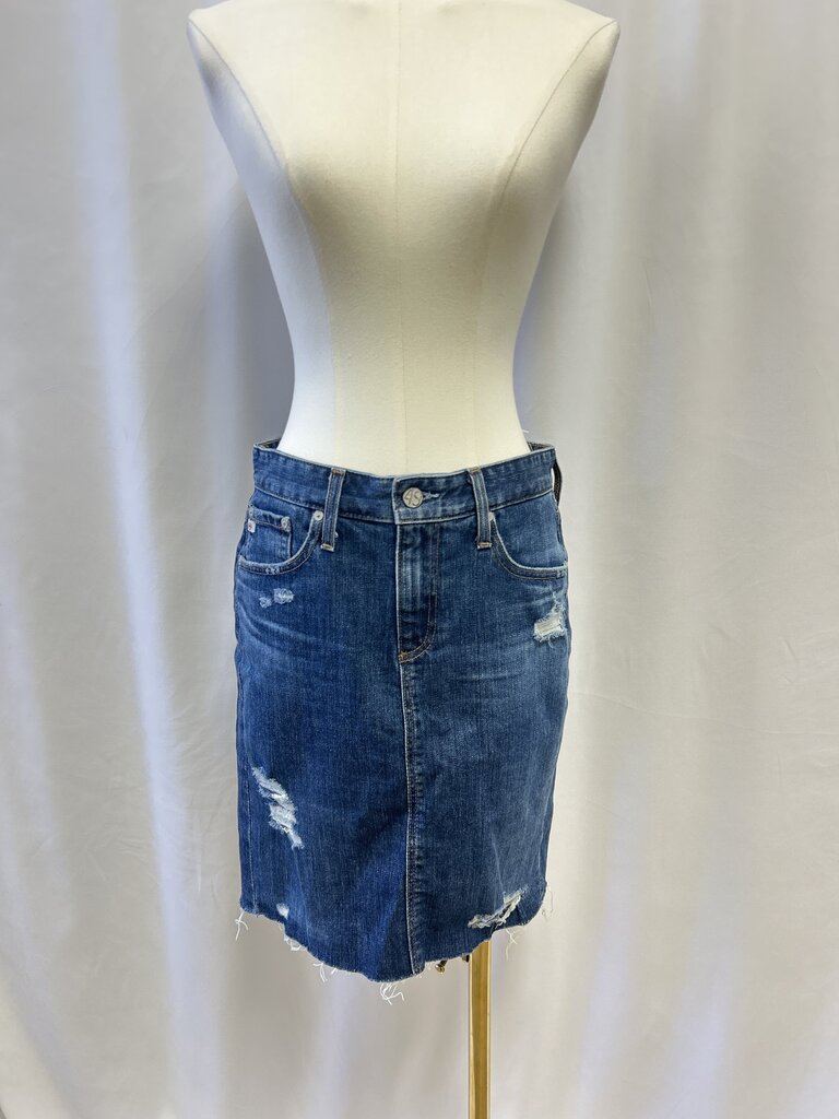 AG Blue Jean Skirt