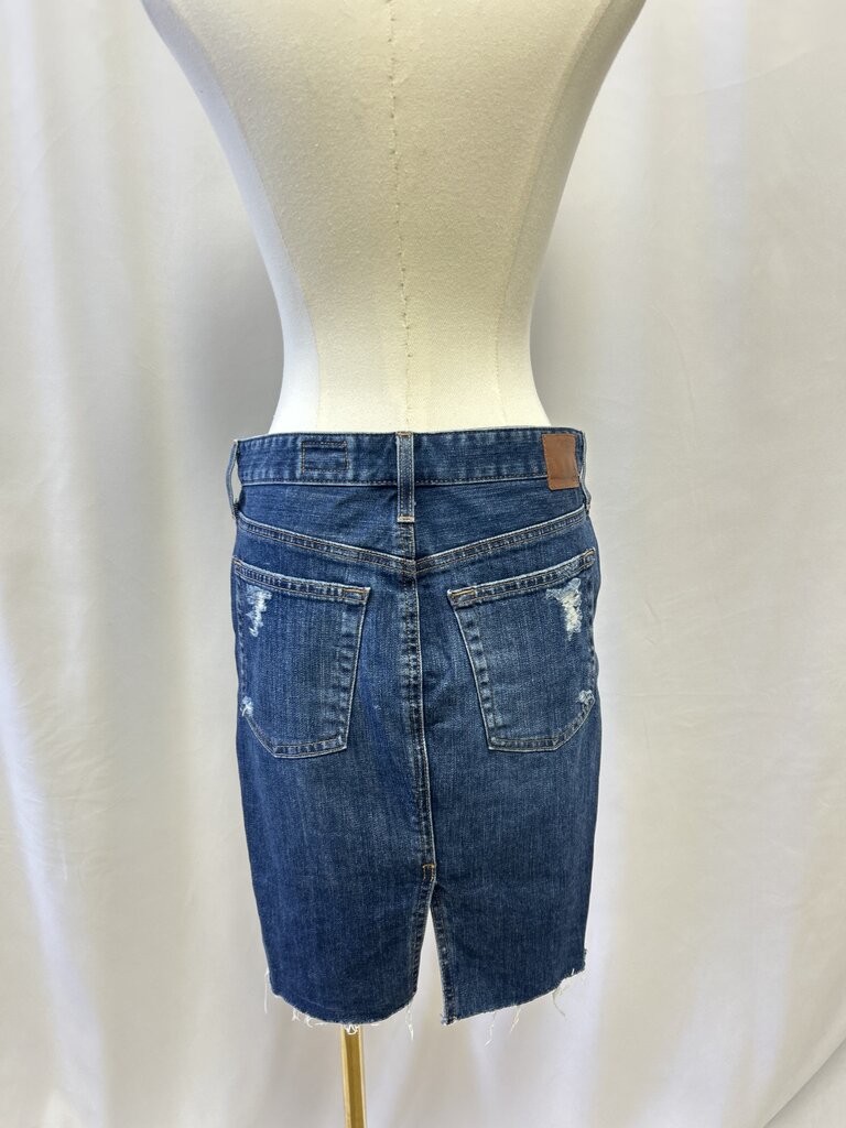 AG Blue Jean Skirt