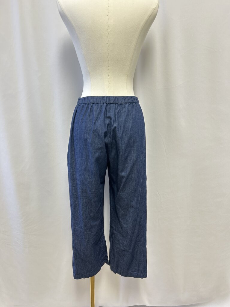 Kal Rieman Chambray Pant