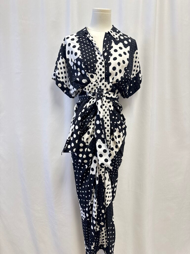 Le Superbe Black and White Polka Dot Dress