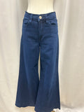 Frame Blue Flare Bottom Jean