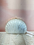 Aqua Pearlized Shell Clutch NWT