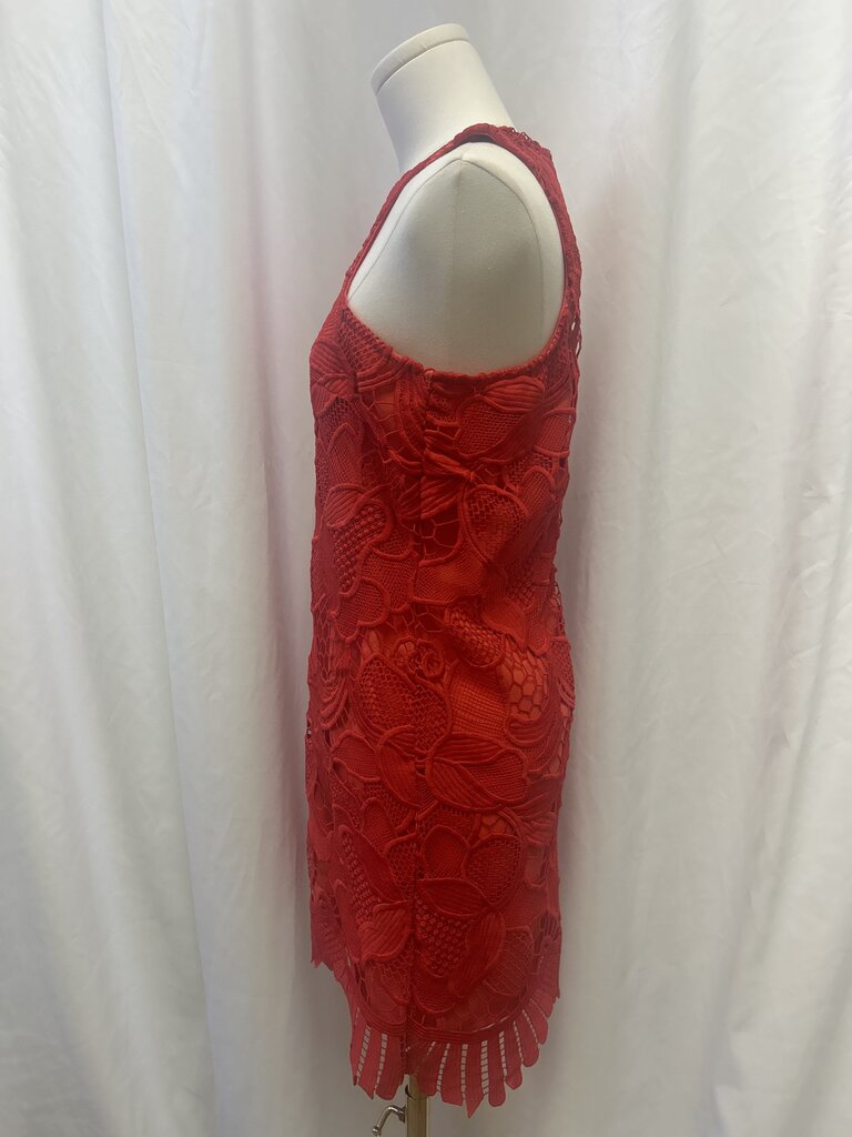 Lovers + Friends Red Lace Tank Dress