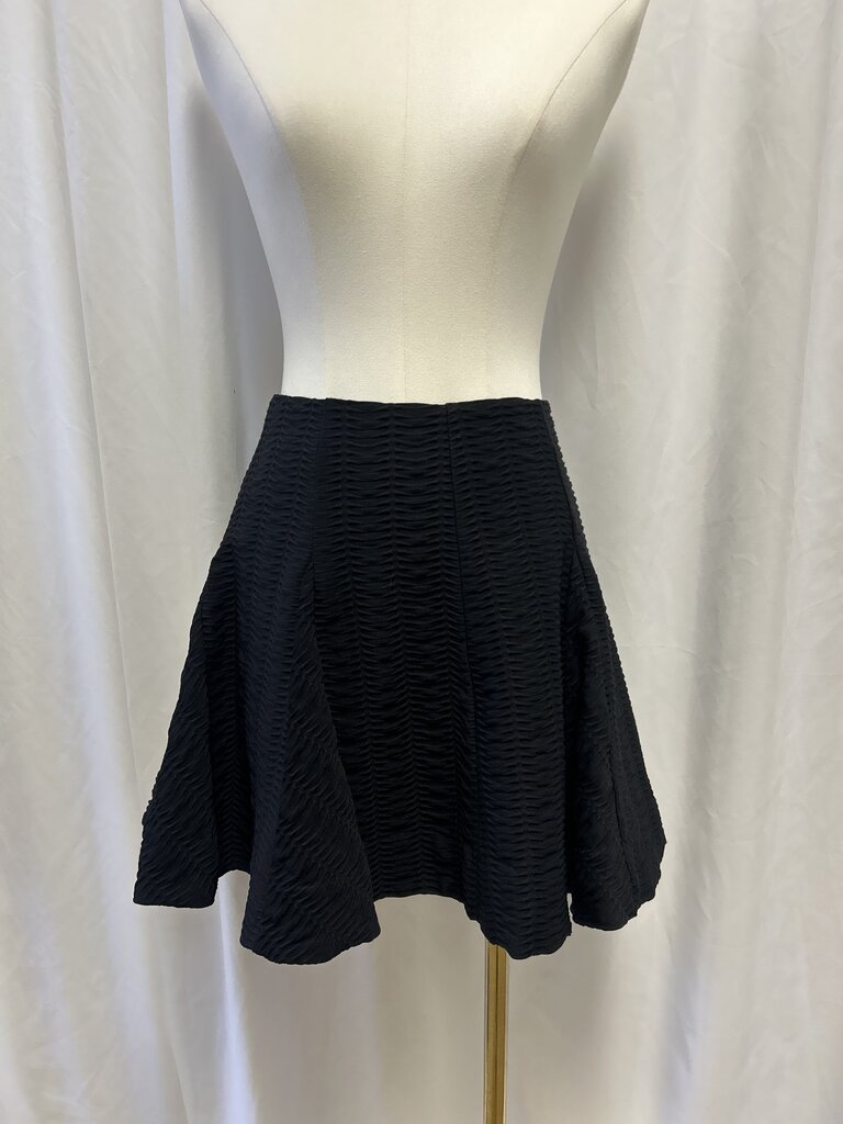 Black Flare Mini Skirt