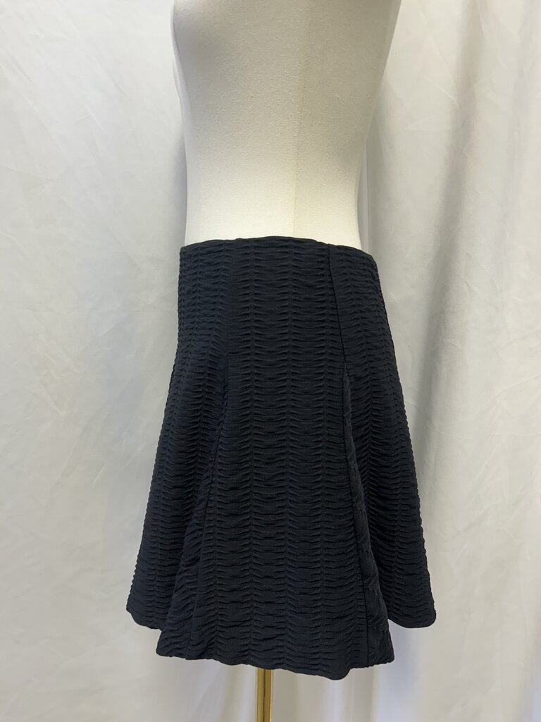 Black Flare Mini Skirt