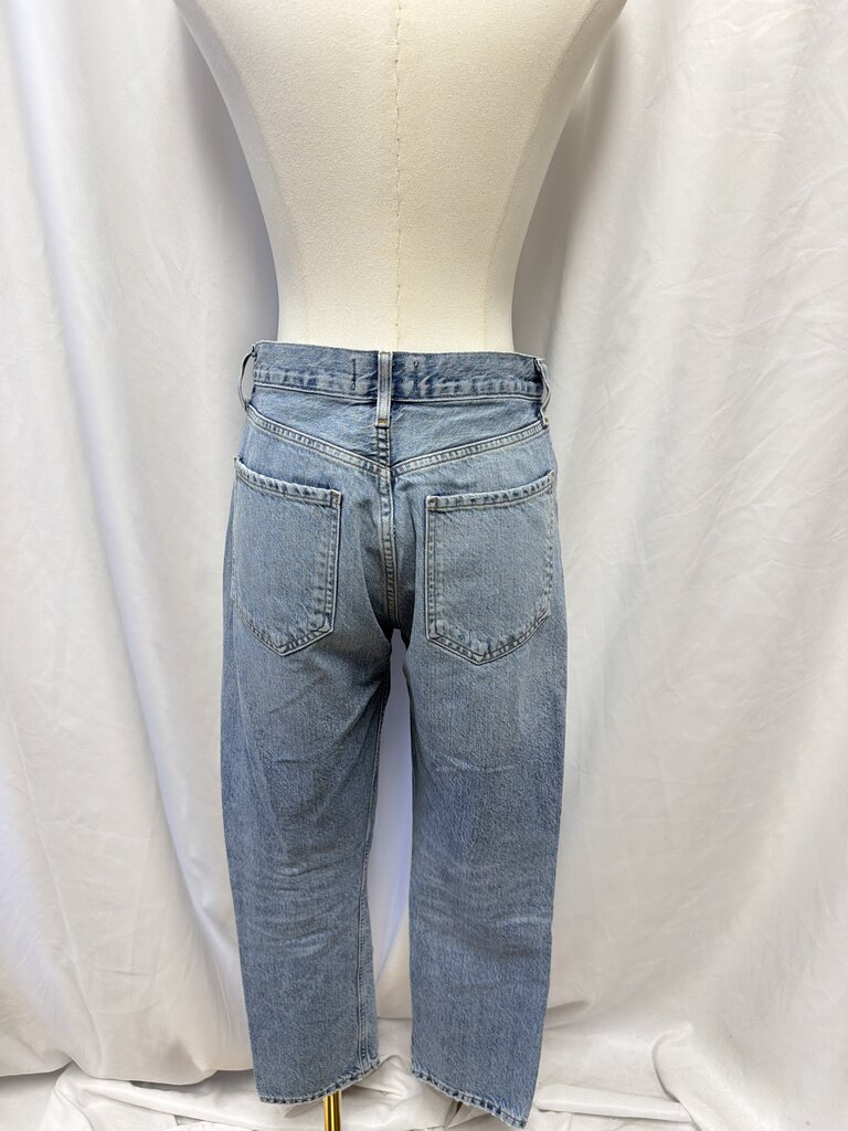 Agolde Light Wash Straight Leg Jean
