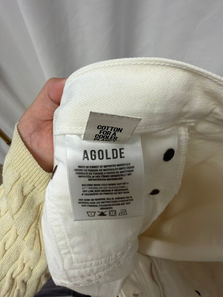 Agolde Straight Leg Jean