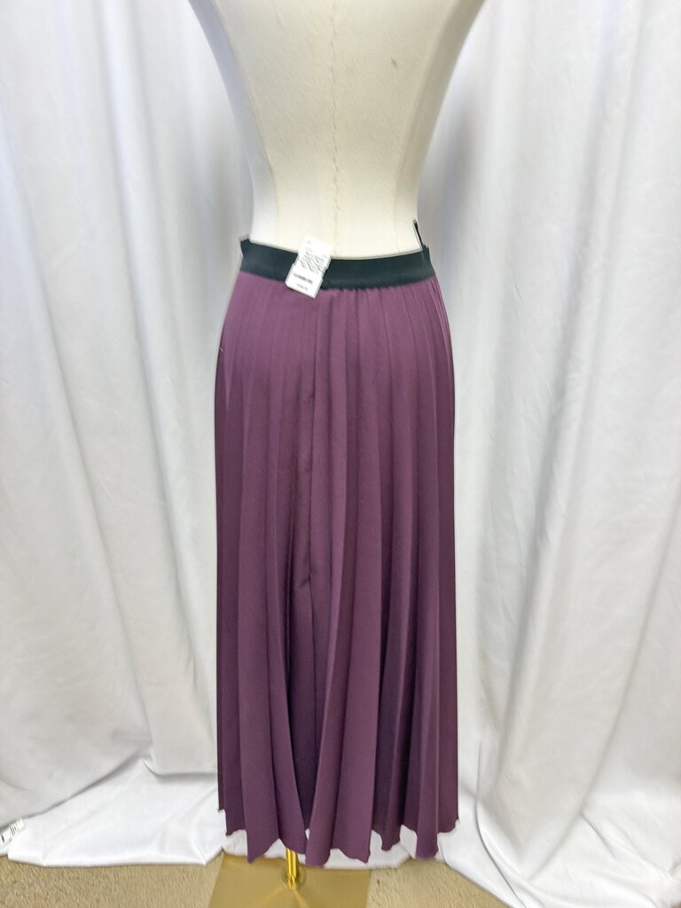 Pierre-Antonio Gaspari Plum Pleated Maxi Skirt