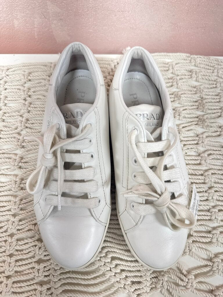 Prada Logo Leather Sneaker