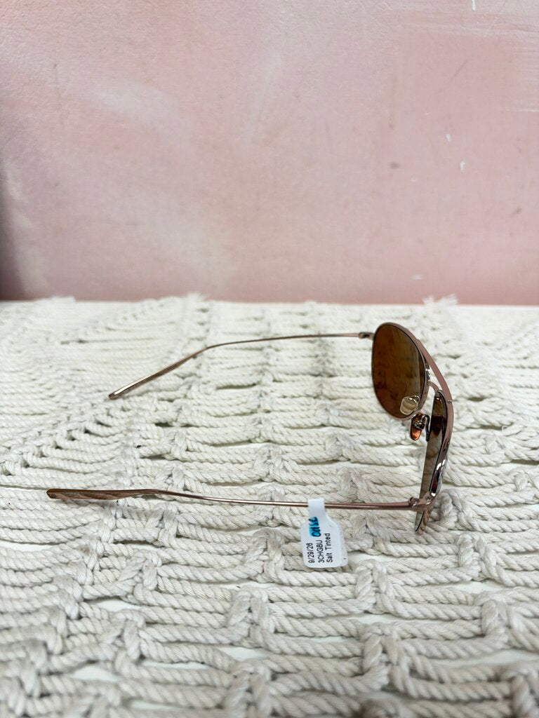 Salt Tinted Aviator Sunglasses w/ Case