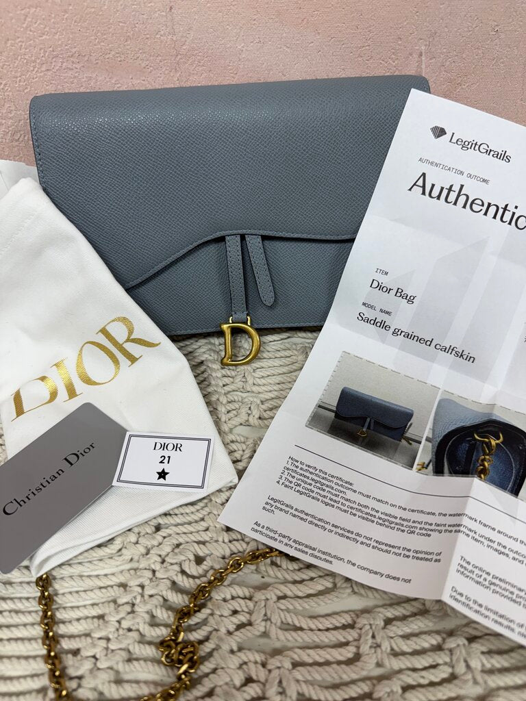 Dior Leather Saddle Chain Handbag w/ Box & Dustbag