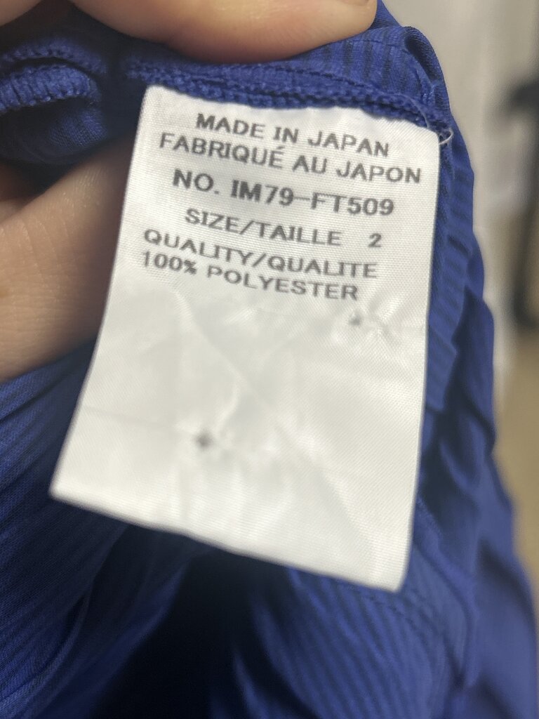 Issey Miyake Blue Striped Tunic Top
