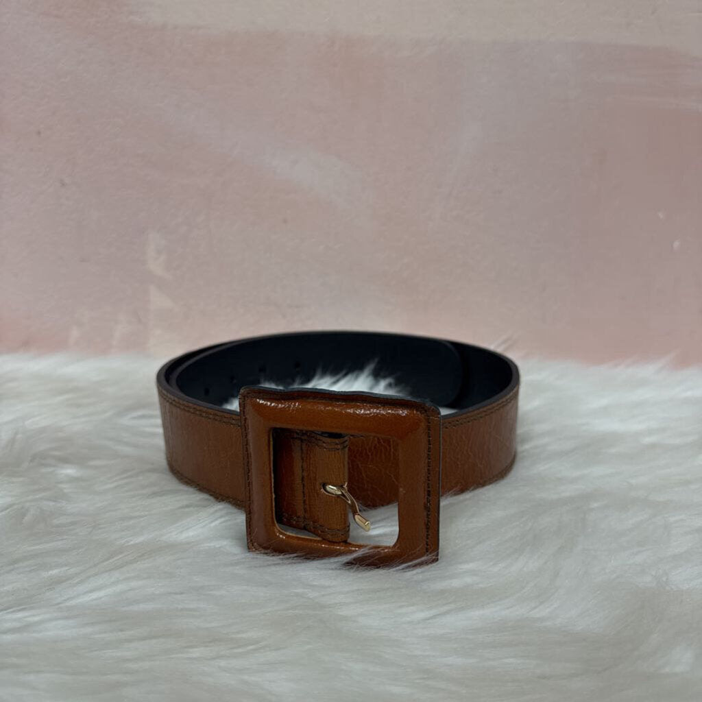 Dorothee Schumacher Brown Coated Leather Wide Belt